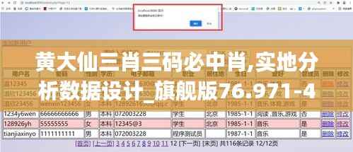 黄大仙三肖三码必中肖,实地分析数据设计_旗舰版76.971-4