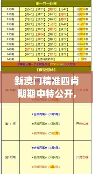 新澳门精准四肖期期中特公开,合理决策执行审查_6DM19.886-2