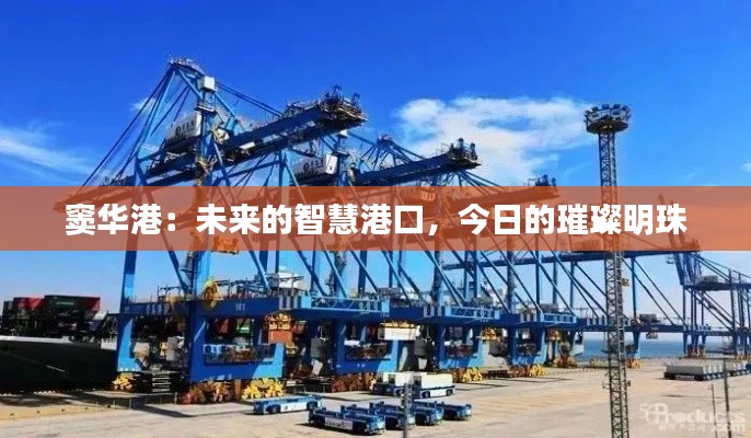 窦华港:未来的智慧港口,今日的璀璨明珠