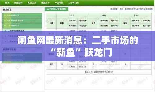 闲鱼网最新消息:二手市场的“新鱼”跃龙门