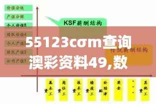 55123cσm查询澳彩资料49,数据导向方案设计_豪华款71.555