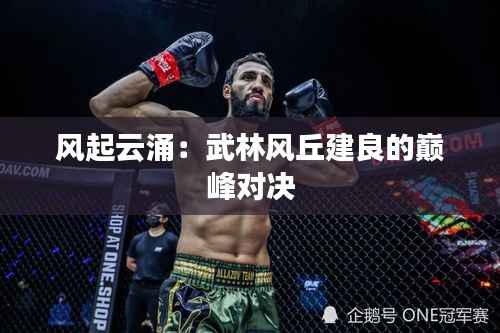 风起云涌:武林风丘建良的巅峰对决