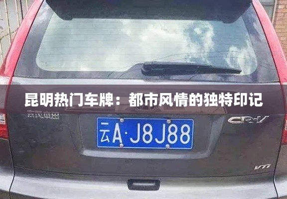 昆明热门车牌:都市风情的独特印记