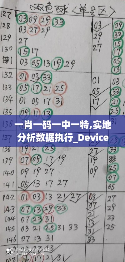 一肖一码一中一特,实地分析数据执行_Device7.306