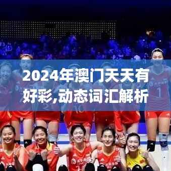 2024年澳门天天有好彩,动态词汇解析_HDR版9.203