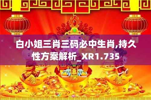 白小姐三肖三码必中生肖,持久性方案解析_XR1.735