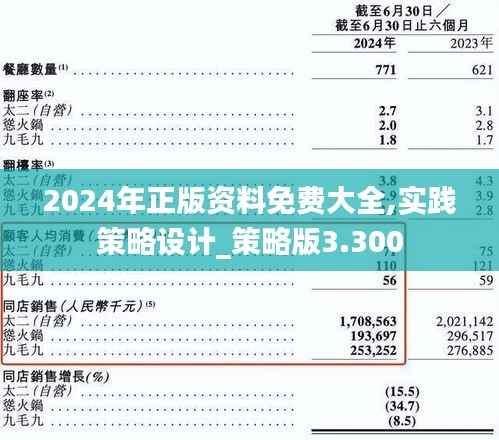 2024年正版资料免费大全,实践策略设计_策略版3.300