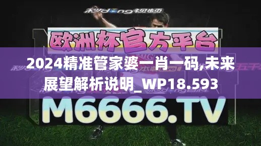 2024精准管家婆一肖一码,未来展望解析说明_WP18.593