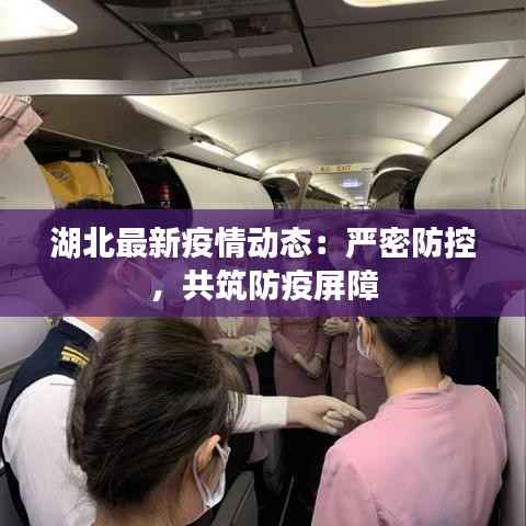 湖北最新疫情动态:严密防控,共筑防疫屏障