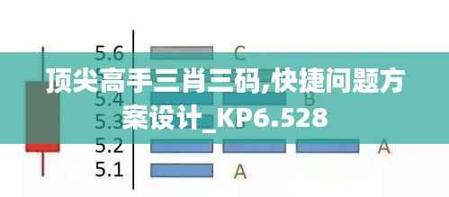 顶尖高手三肖三码,快捷问题方案设计_KP6.528