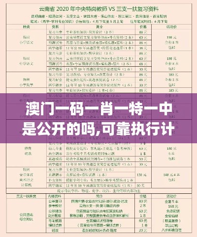 澳门一码一肖一特一中是公开的吗,可靠执行计划_Notebook2.427