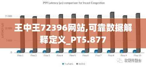 王中王72396网站,可靠数据解释定义_PT5.877