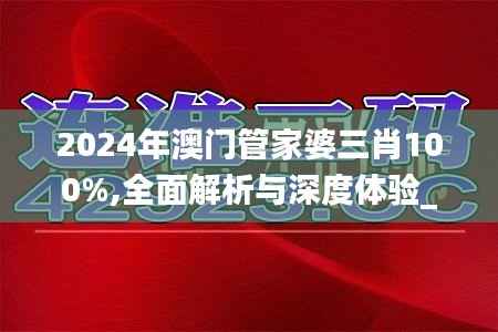 2024年澳门管家婆三肖100%,全面解析与深度体验_冒险版7.890