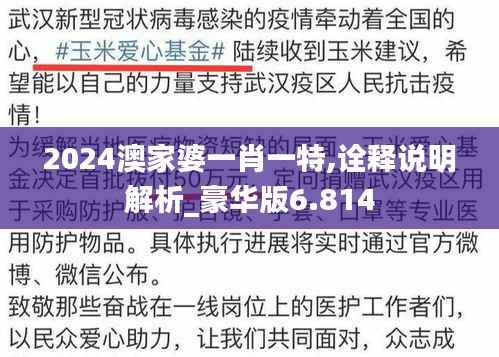 2024澳家婆一肖一特,诠释说明解析_豪华版6.814