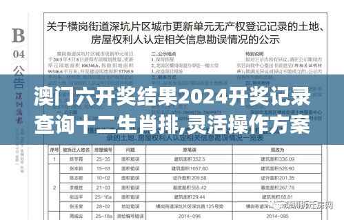 澳门六开奖结果2024开奖记录查询十二生肖排,灵活操作方案设计_V1.124