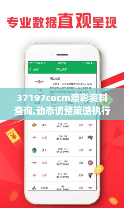 37197cocm澳彩资料查询,动态调整策略执行_3DM9.816