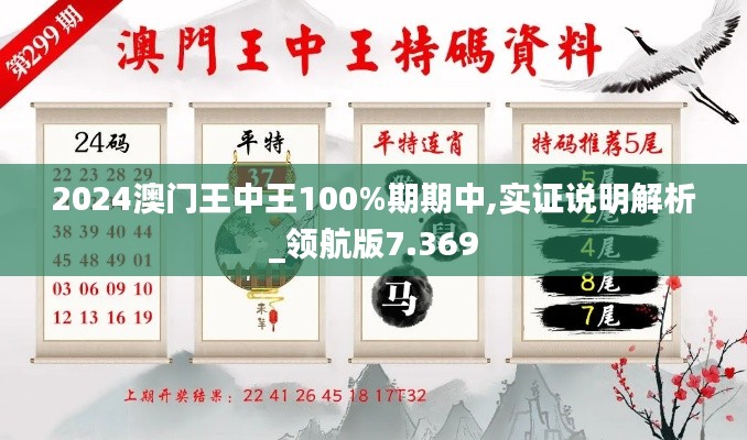 2024澳门王中王100%期期中,实证说明解析_领航版7.369