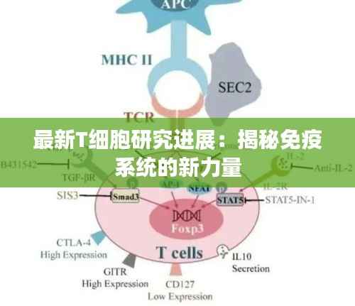 程门飞雪 第5页