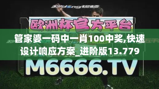 管家婆一码中一肖100中奖,快速设计响应方案_进阶版13.779