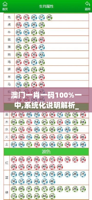 澳门一肖一码100%一中,系统化说明解析_经典款3.565