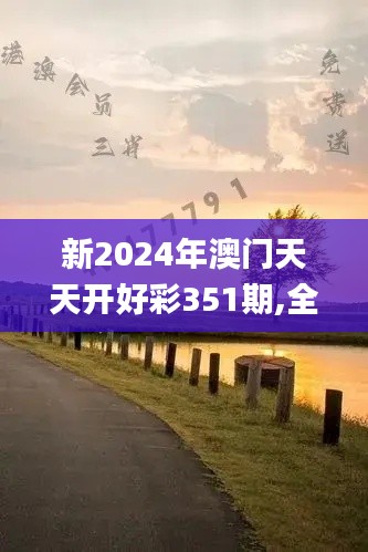 新2024年澳门天天开好彩351期,全面解析与深度探讨_经典款8.693