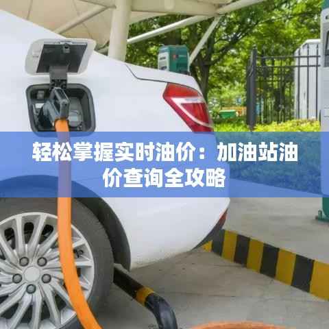 轻松掌握实时油价:加油站油价查询全攻略