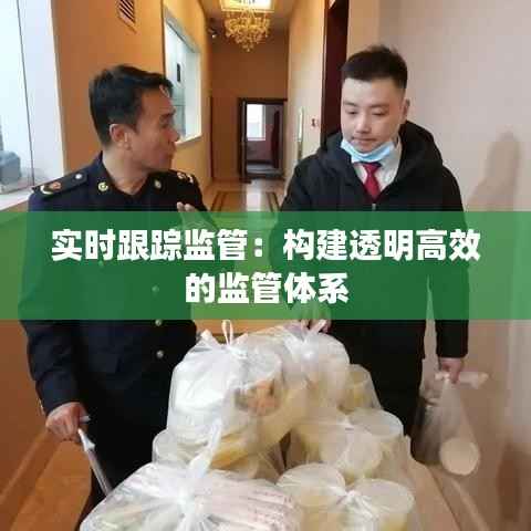 实时跟踪监管:构建透明高效的监管体系