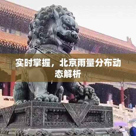 实时掌握,北京雨量分布动态解析