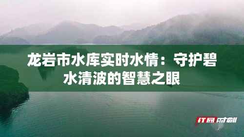 龙岩市水库实时水情:守护碧水清波的智慧之眼