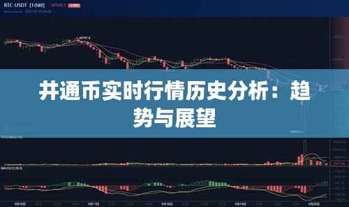 井通币实时行情历史分析:趋势与展望