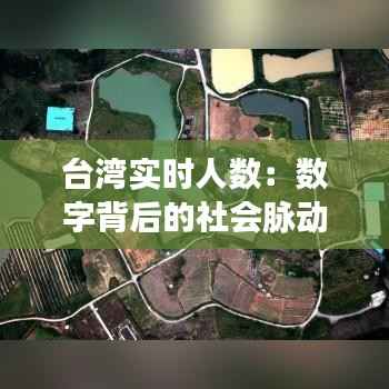 台湾实时人数:数字背后的社会脉动