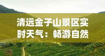清远金子山景区实时天气:畅游自然,尽享清新时光