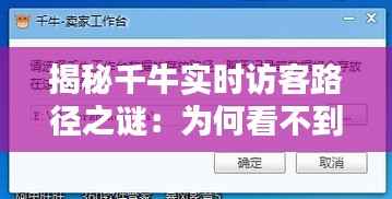 揭秘千牛实时访客路径之谜:为何看不到?