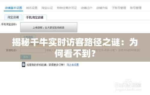 揭秘千牛实时访客路径之谜:为何看不到?