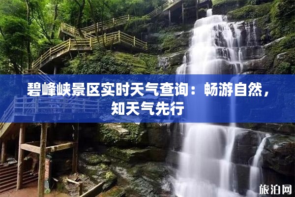 碧峰峡景区实时天气查询:畅游自然,知天气先行
