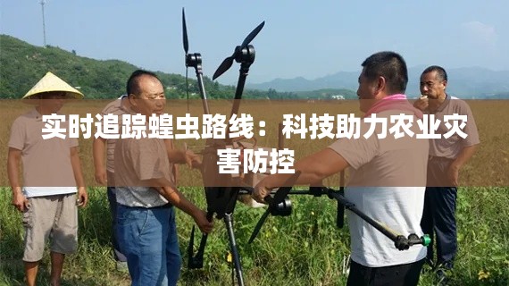 实时追踪蝗虫路线:科技助力农业灾害防控