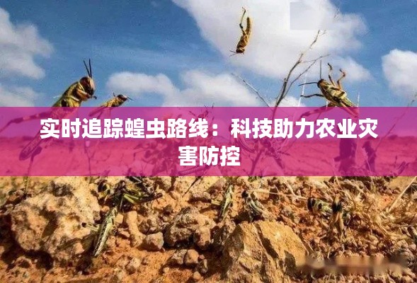 实时追踪蝗虫路线:科技助力农业灾害防控