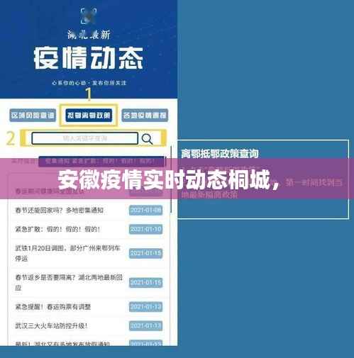 安徽疫情实时动态桐城,