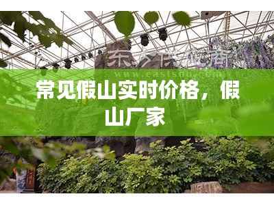 常见假山实时价格,假山厂家