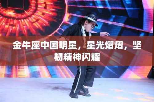 金牛座中国明星,星光熠熠,坚韧精神闪耀