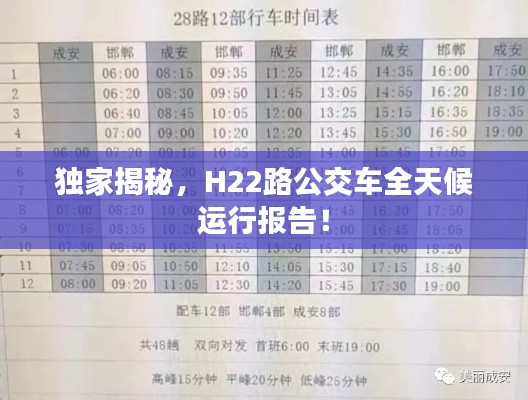 独家揭秘,H22路公交车全天候运行报告!