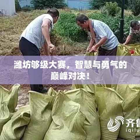 潍坊够级大赛,智慧与勇气的巅峰对决!