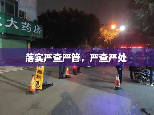 落实严查严管，严查严处 