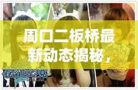 周口二板桥最新动态揭秘,今日消息一网打尽