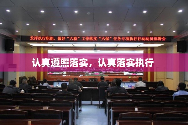认真遵照落实,认真落实执行