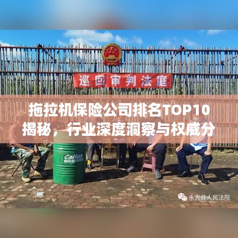 拖拉机保险公司排名TOP10揭秘,行业深度洞察与权威分析