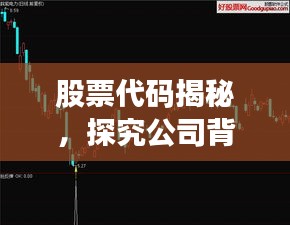 股票代码揭秘,探究公司背景、业绩与未来展望——002663公司深度解析