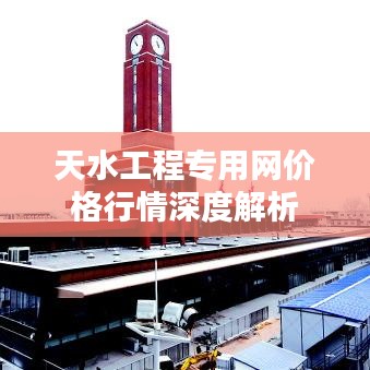 天水工程专用网价格行情深度解析