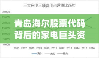 青岛海尔股票代码背后的家电巨头资本市场之旅