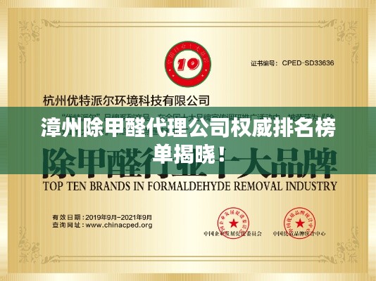 漳州除甲醛代理公司权威排名榜单揭晓!